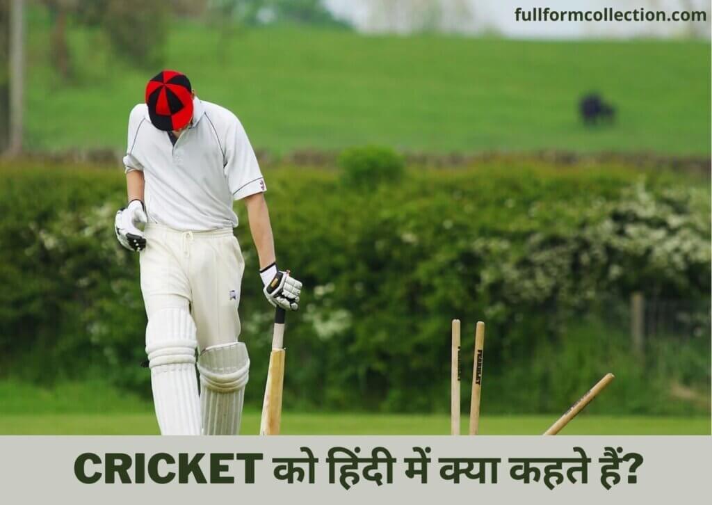 Cricket Ko Hindi Mein Kya Kahate Hain
