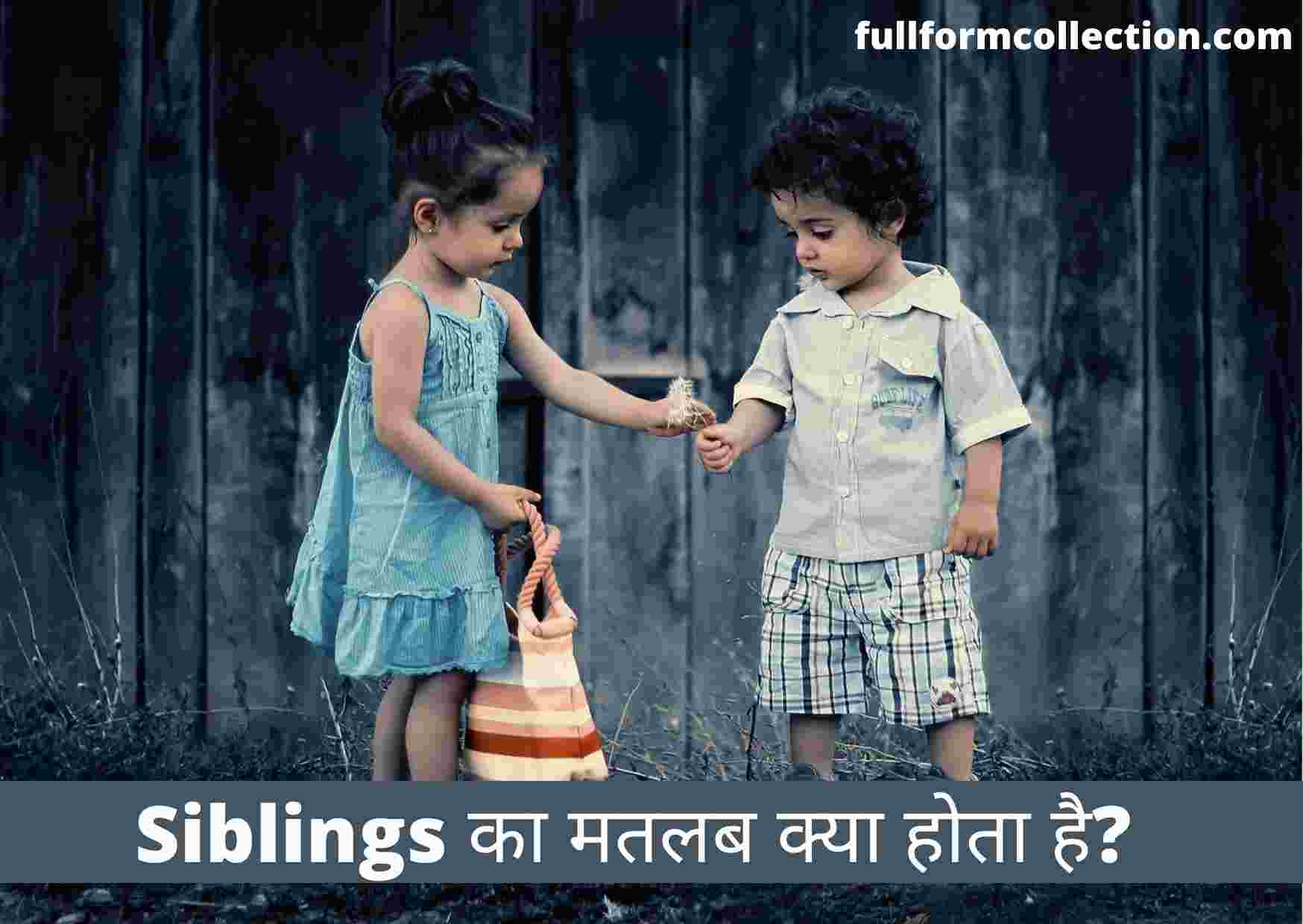 Siblings Meaning In Hindi